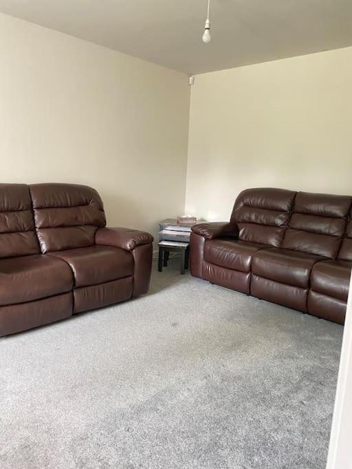 4-Room Detached Furnished Home With Parking 莱切斯特 外观 照片